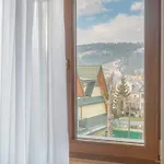 Goszczynskiego Rum i privatbostad Zakopane